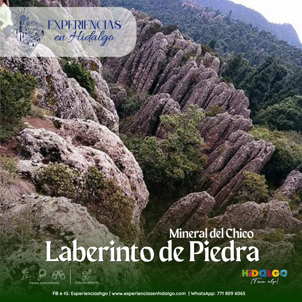 Laberinto de Piedra / M. del Chico